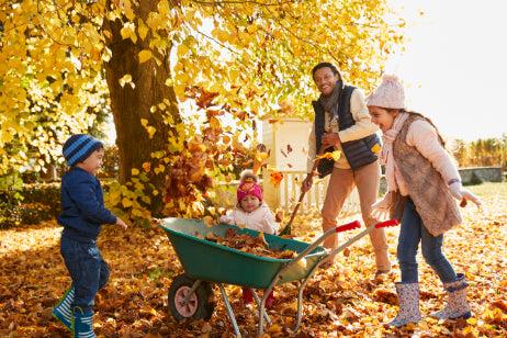 Autumn Yard Clean up Guide