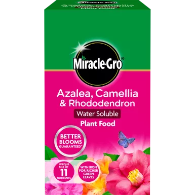 Miracle Gro Azalea, Camellia & Rhododendron Soluble Plant Food