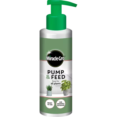 Miracle Gro Pump & Feed All Purpose