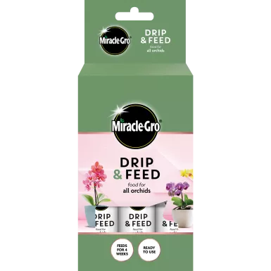 Miracle Gro Drip & Feed Orchid