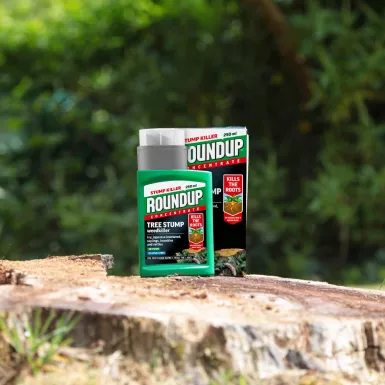 Roundup Tree Stump & Rootkiller