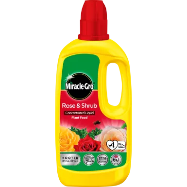 Miracle Gro Rose & Shrub Concentrated Plant Food