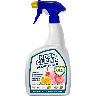 Rose Clear 3 in 1 Ready to Use