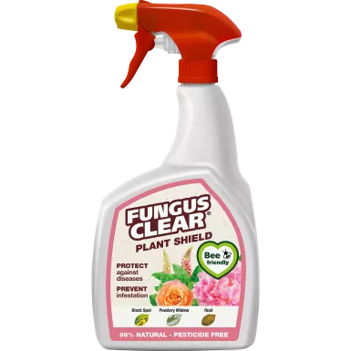 Fungus Clear Plant Shield