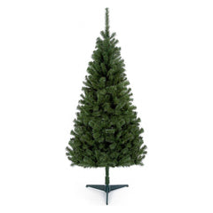 Premier Douglas Fir Tree