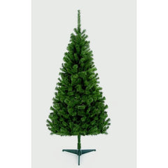 Premier Douglas Fir Tree