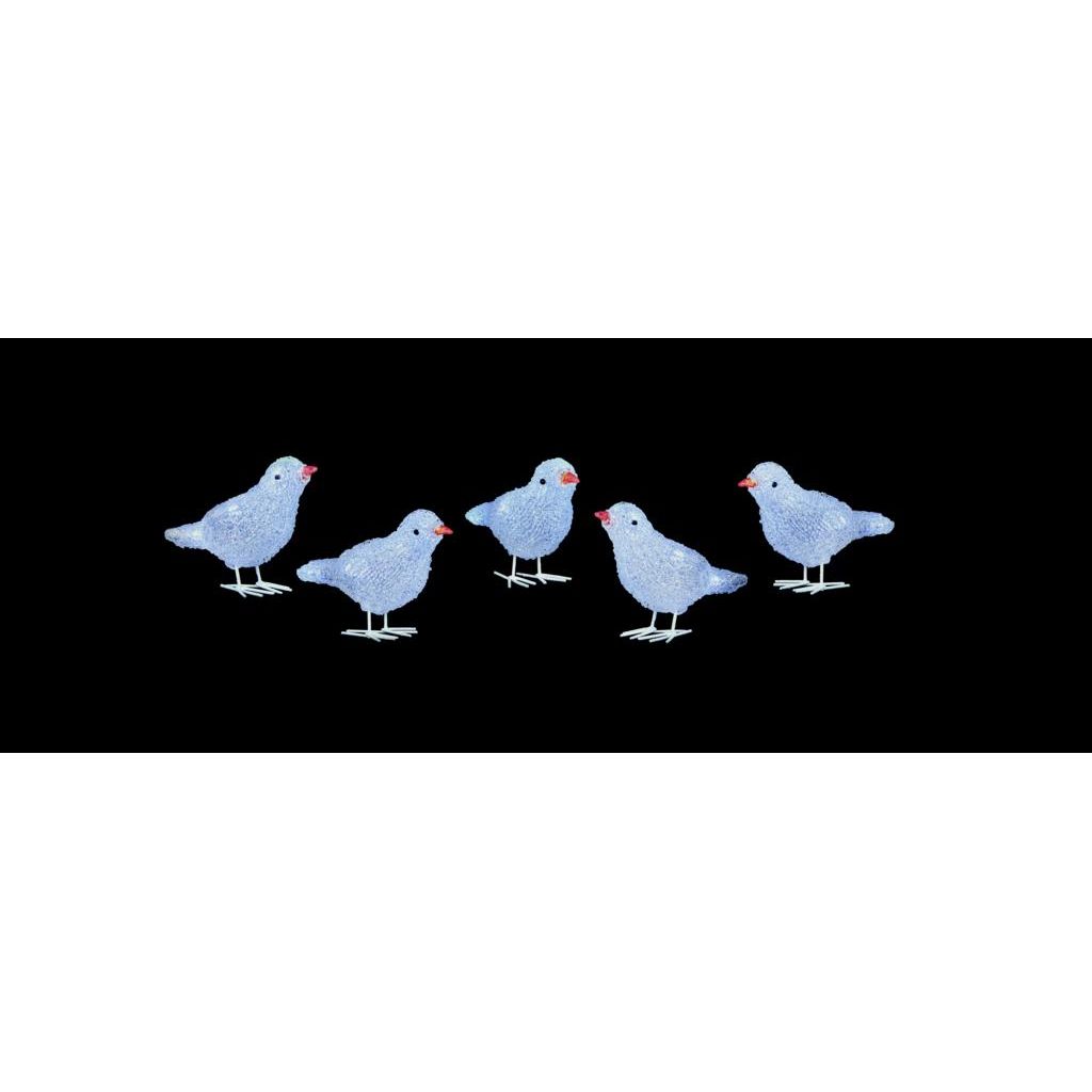 Premier 5 Piece Acrylic Birds 16cm