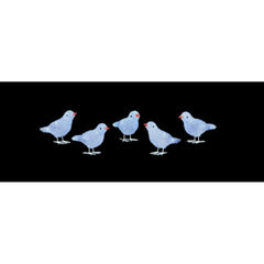 Premier 5 Piece Acrylic Birds 16cm