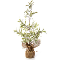 Premier Natural Mistletoe Tree In Jute Pot