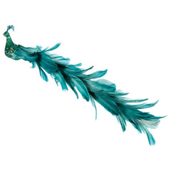 Premier Glitter Peacock Long Tail 38cm Dark Green