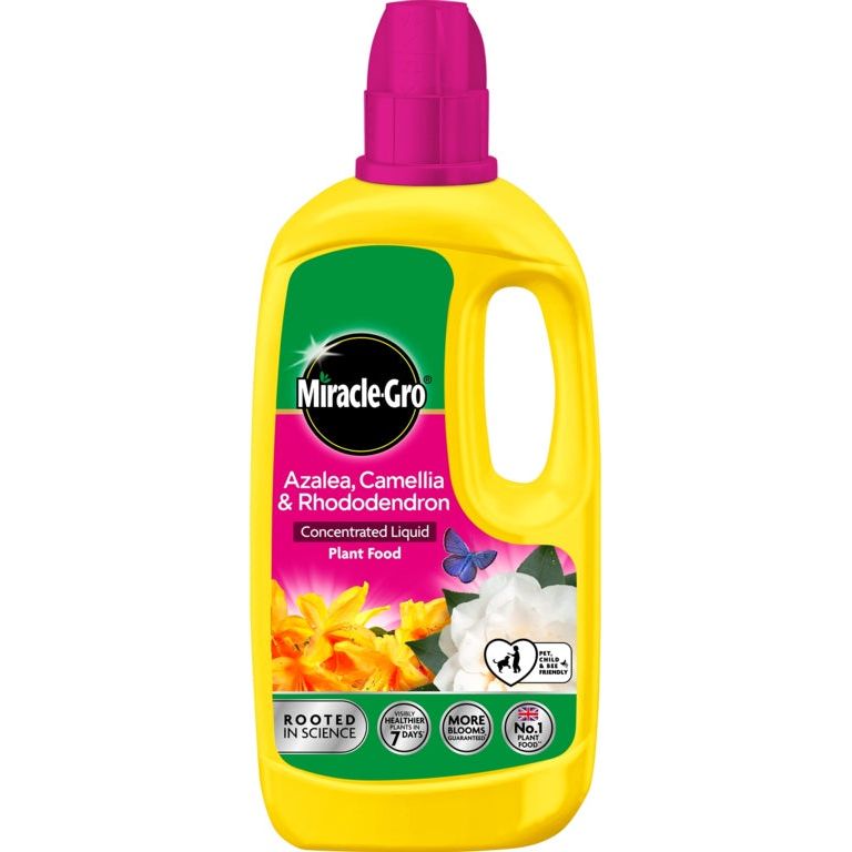 Miracle Gro Ericaceous Liquid Plant Food