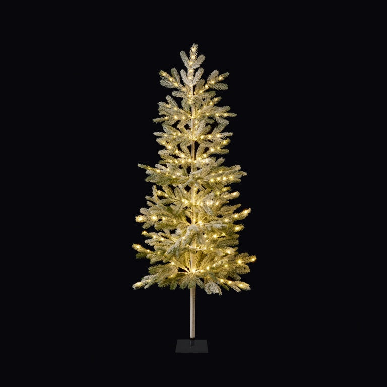 Premier Lit Pine Needle Tree 220 Warm White LEDs