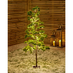 Premier Japanese Pine Tree 260 Warm White LEDs