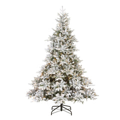 Premier Prelit Frosted Andorra Fir 350 LEDs