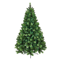 Premier Nevada Fir