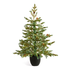 Premier Potted Green Tree