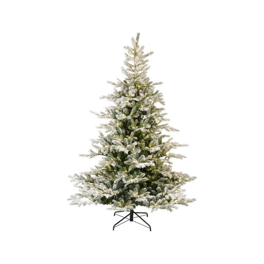 Kaemingk Grandis Fir Snowy Micro LED Green & Warm White