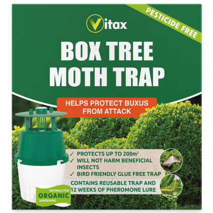 Vitax Buxus Moth Trap 1 Trap