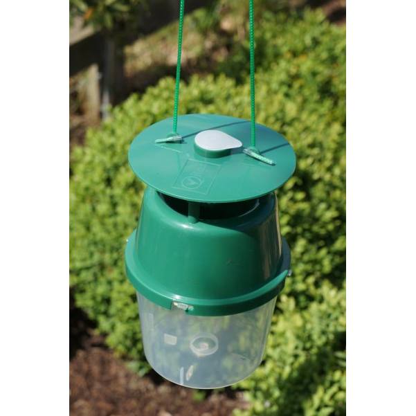 Vitax Buxus Moth Trap 1 Trap