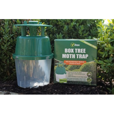 Vitax Buxus Moth Trap 1 Trap