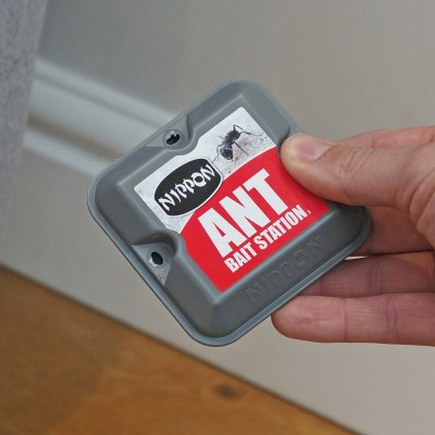 Ant Bait Station