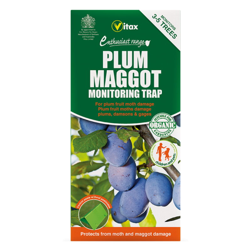 Vitax Plum Maggot Trap