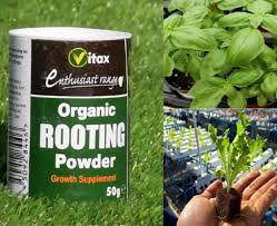 Vitax Organic Rooting Powder 50g