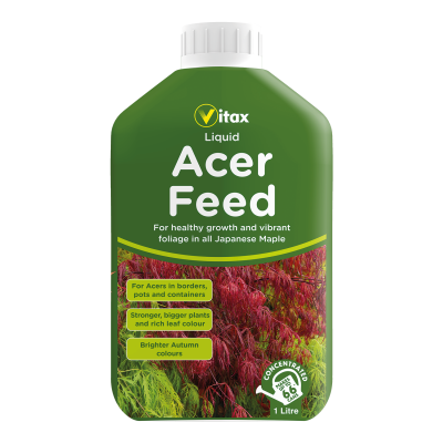 Acer Tree Liquid Feed