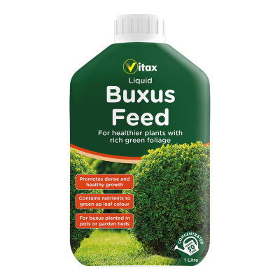 Buxus Feed Liquid