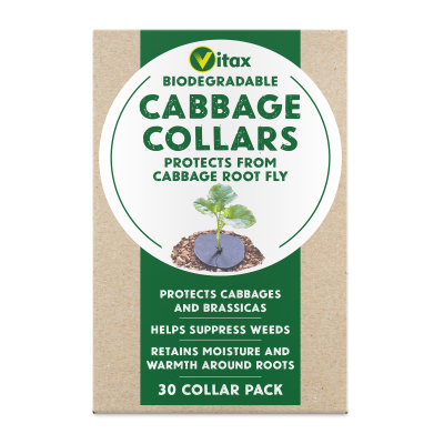 Vitax Cabbage Collars Pack 30