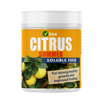 Buy Vitax Citrus Feed - Summer 200g From JDS DIY