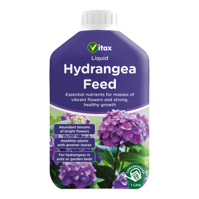 Hydrangea Feed Liquid