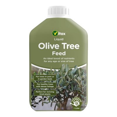 Olive Tree Liquid Feed