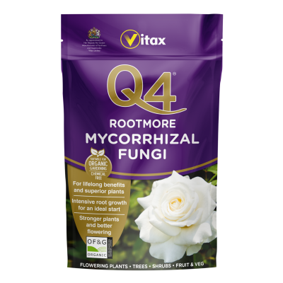 Q4 Rootmore Mycorrhizal Fungi