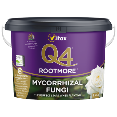 Q4 Rootmore Mycorrhizal Fungi