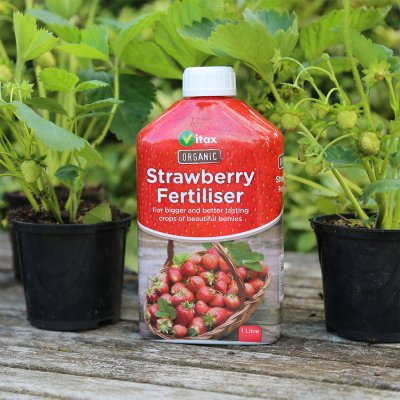 Vitax Organic Liquid Strawberry Feed 1L