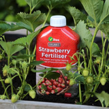 Vitax Organic Liquid Strawberry Feed 1L