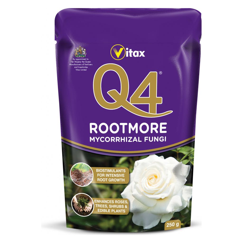 Q4 Rootmore Mycorrhizal Fungi