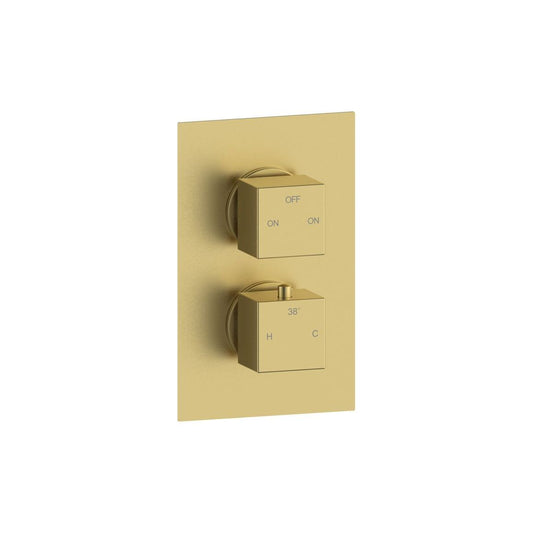 Elusive Thermostatic Two Outlet Twin Shower Valve - Brushed Brass