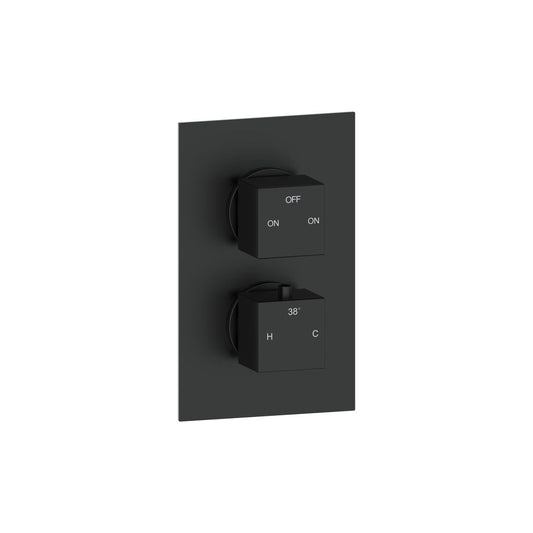 Elusive Thermostatic Two Outlet Twin Shower Valve - Matt Black