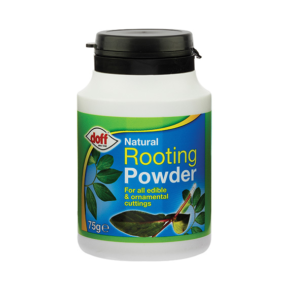 Doff Natural Rooting Powder 75g