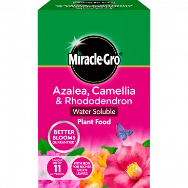 Miracle Gro Azalea, Camellia & Rhododendron Soluble Plant Food