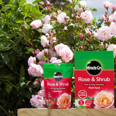 Miracle Gro Rose & Shrub Plant Food