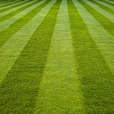 Seaweed Advanced For Lawns 1Ltr