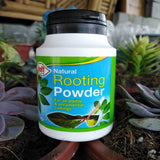 Doff Natural Rooting Powder 75g