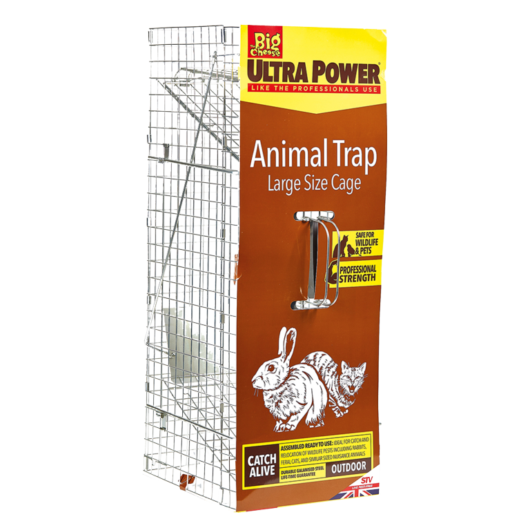 Animal Trap