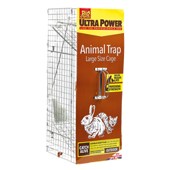 Animal Trap