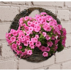 JDS Garden Willow Wall Basket