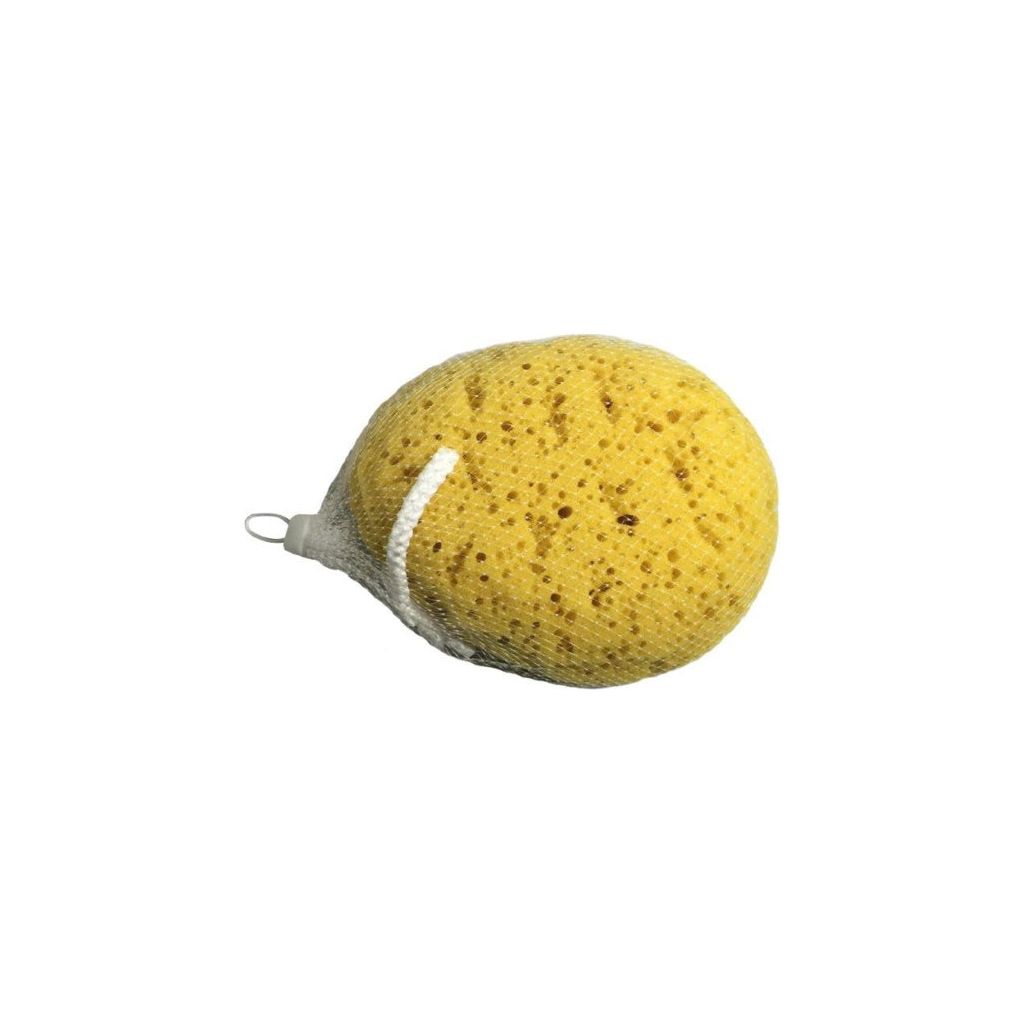 Blue Canyon Body Sponge