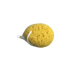 Blue Canyon Body Sponge